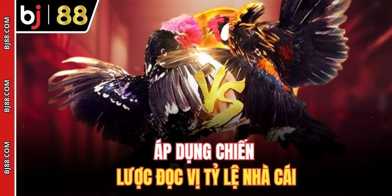 Áp dụng chiến lược đọc vị tỷ lệ nhà cái