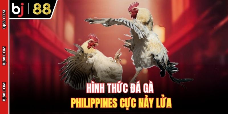 Hình thức đá gà Philippines cực nảy lửa