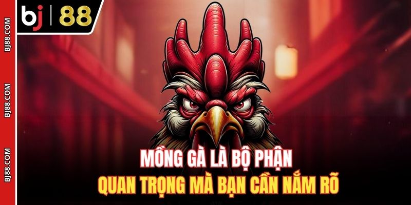 Mồng gà là bộ phận quan trọng mà bạn cần nắm rõ