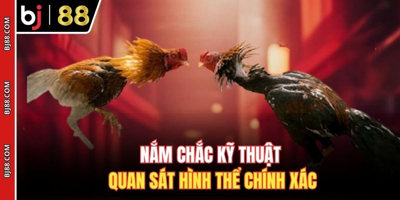 Nắm chắc kỹ thuật quan sát hình thể chính xác