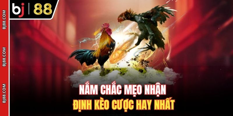 Nắm chắc mẹo nhận định kèo cược hay nhất