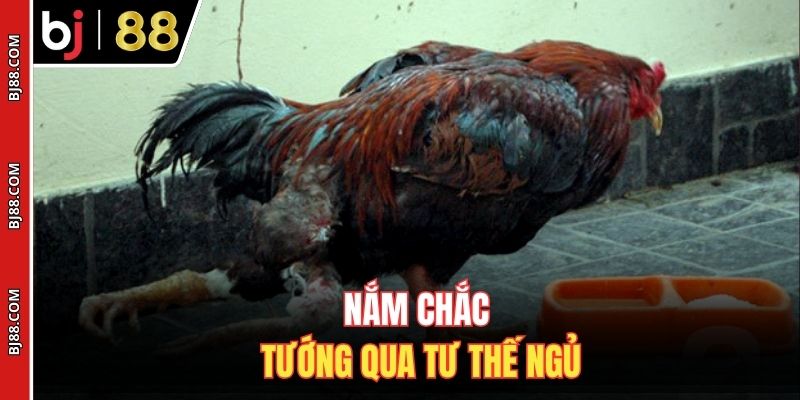 Nắm chắc tướng qua tư thế ngủ