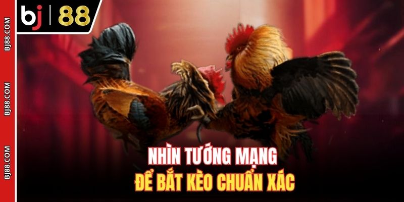 Nhìn tướng mạng để bắt kèo chuẩn xác