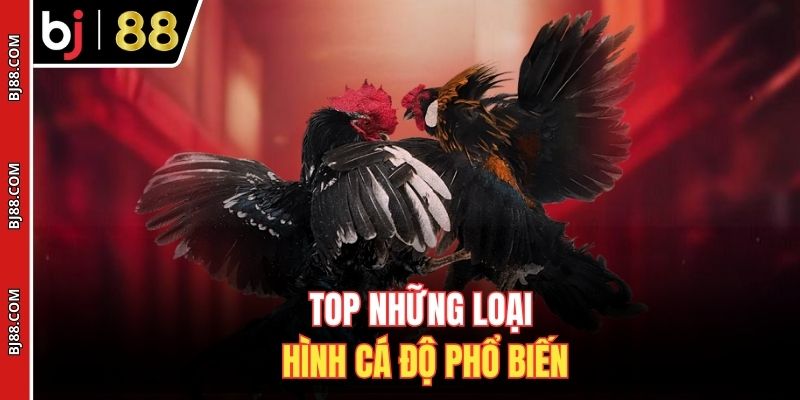 TOP những loại hình cá độ phổ biến