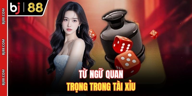Từ ngữ quan trọng trong Tài Xỉu