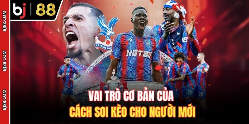 Vai trò cơ bản của cách soi kèo cho người mới